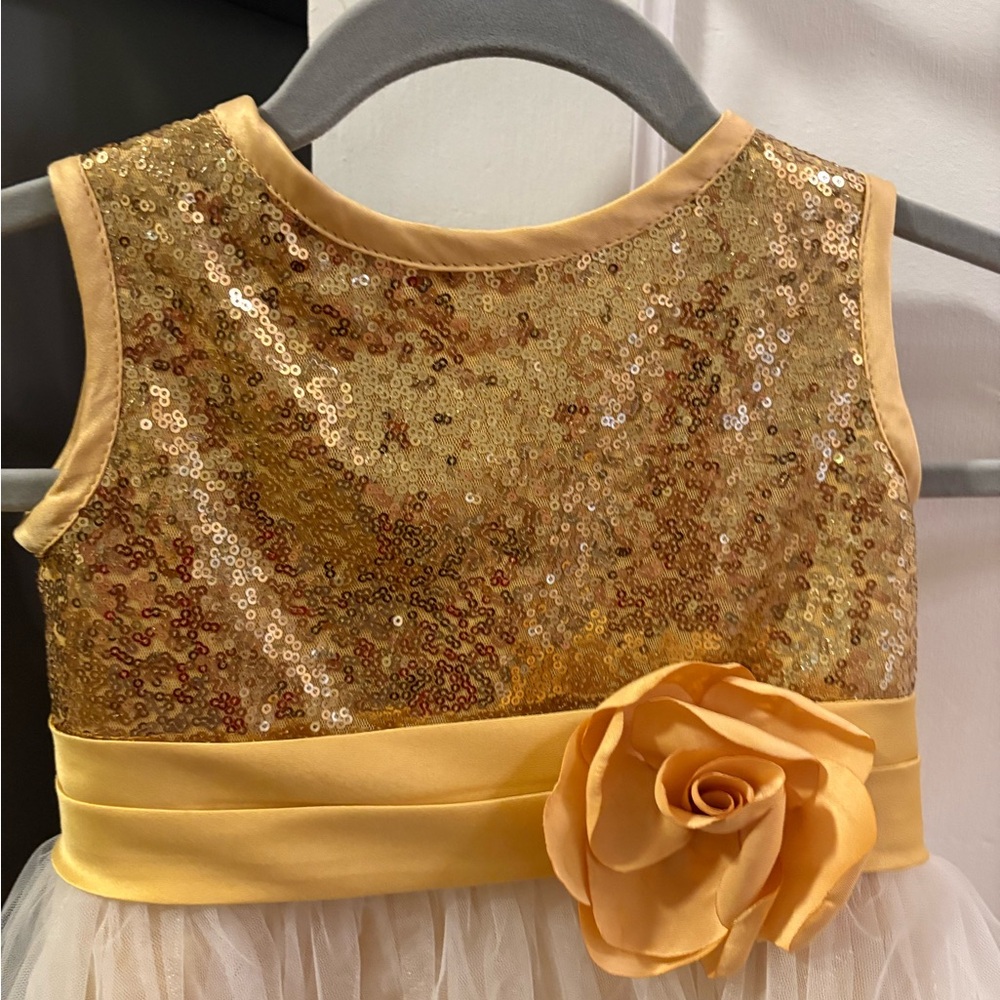 Flower girl dress  Gold Sequin Bodice Tulle  Toddlers girls' Dress